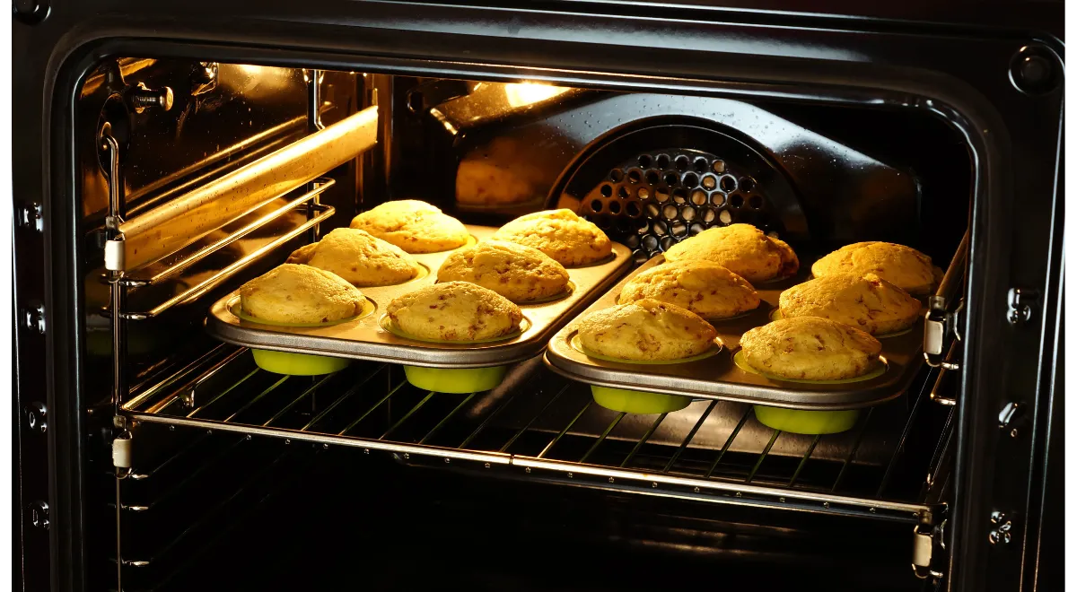 Top Best 110 Volt Oven: An Unbiased Review 6 110 Volt Oven